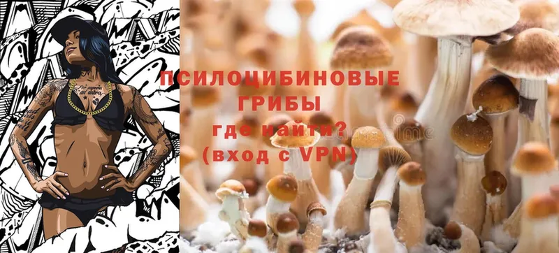 Галлюциногенные грибы Cubensis  Вяземский 