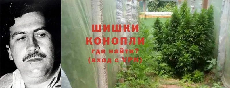 купить  цена  Вяземский  Бошки Шишки OG Kush 